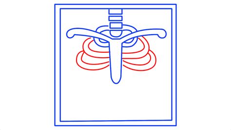 Image result for X-ray Tutorials