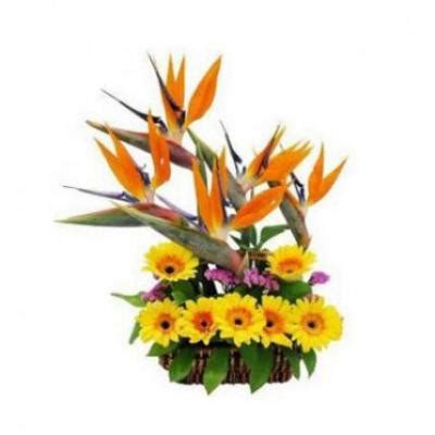 Send BOP & Gerbera Arrangement Online in Kerala Same Day Delivery