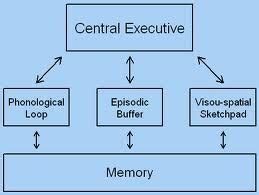 Image result for Working Memory Model
