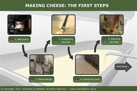 Process of Making Cheese 的图像结果