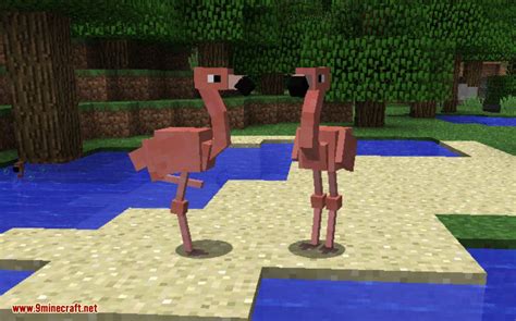 Image result for Minecraft Bird Mod