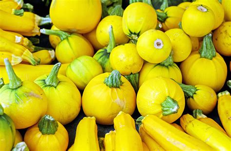 A Gardener's Complete Guide to Growing Spaghetti Squash - Garden and Happy