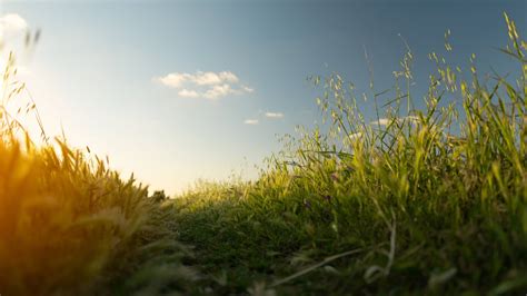 Kilgore Funeral Home, LLC : Tullahoma, Tennessee (TN)