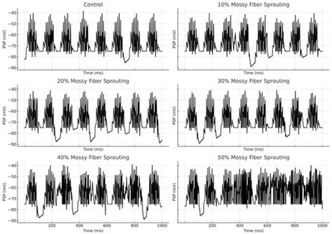 Mechanisms Underlying Hyperexcitability: Combining Mossy Fiber ...