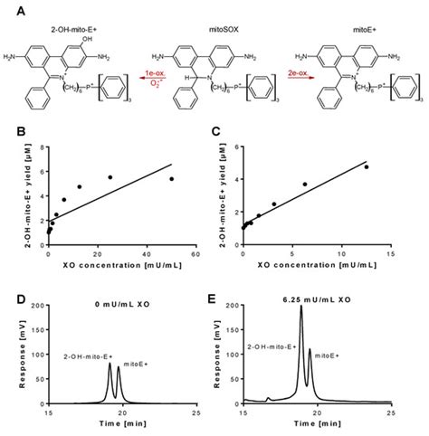 Antioxidants | Special Issue : Oxidative Stress Biomarkers in ...