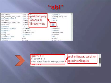 Filesystem Hierarchy Standard Explained 的图像结果