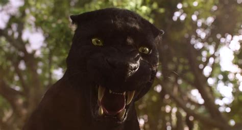 Bagheera, The Jungle Book 2016