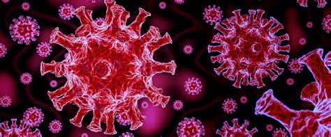 重要！新型冠状病毒研究人员的生物安全防护_生物器材网