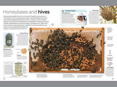 Image result for Insect Reproduction Books