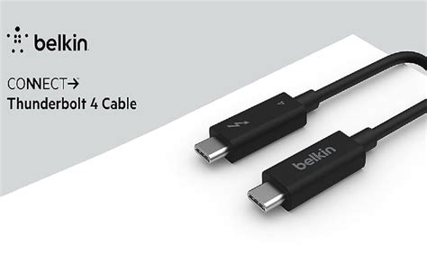 Belkin Active Thunderbolt 4 Cable (2M 6.6FT), USB Type C Connection ...