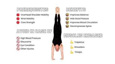 Image result for Handstand Push-Up Muscles Worked