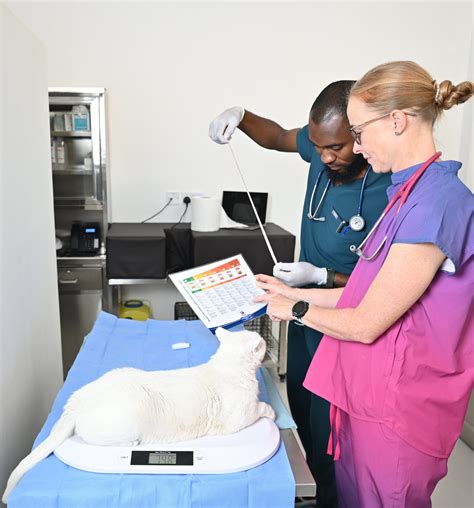 Dr Well Veterinary Clinic - PETWITHIT