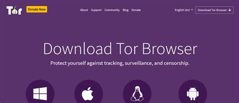Image result for Proxy Browser Risks