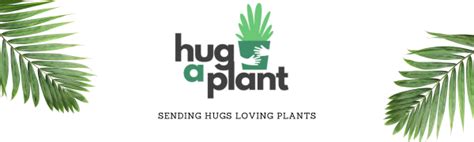 Hug A Plant Wild Blueberry Live Plant