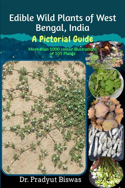 Buy Edible Wild Plants of West Bengal, India : A Pictorial Guide Book ...