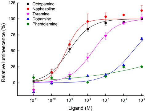 Characterization of a β-Adrenergic-Like Octopamine Receptor in the ...