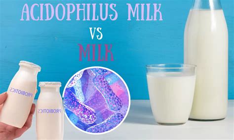 Acidophilus Milk Acidophilus Milk King Soopers