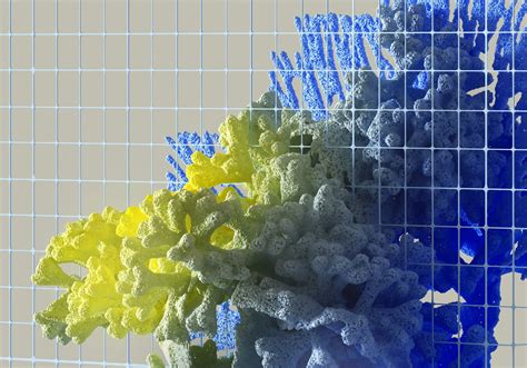 Natalie Avalos: Cosa significa guarire da un trauma storico? | The ...