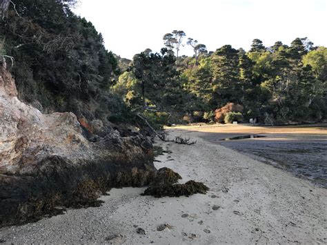 Image result for Shell Point Beach