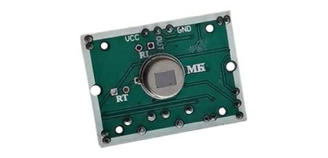 PIR Detection Camera 的图像结果