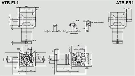 Apex Dynamics