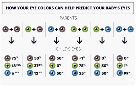 Eye Color Chart Genetics 的图像结果