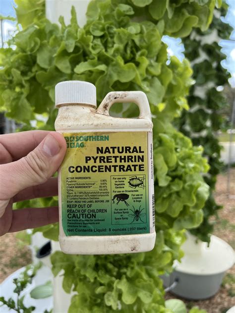 Image result for Pyrethrin Uses