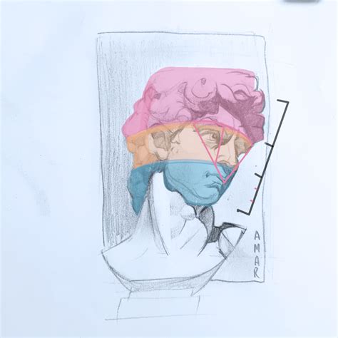 7 Face Proportions for Drawing Better Portraits – Binge Drawing