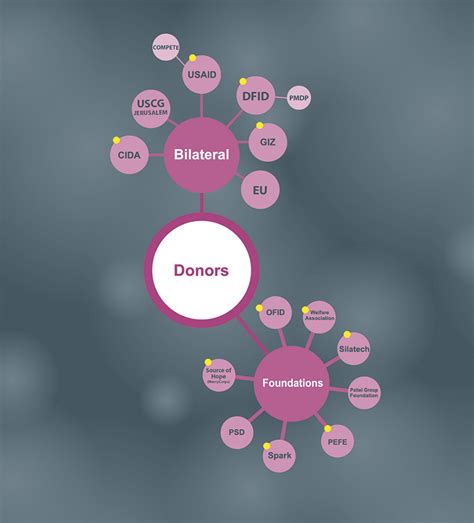 The Social Entrepreneurship Map 的图像结果