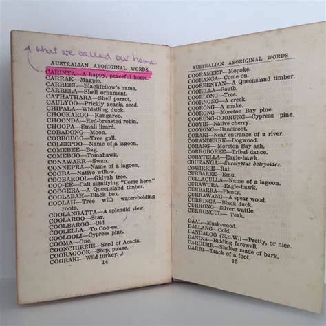 Native Synonym 的图像结果