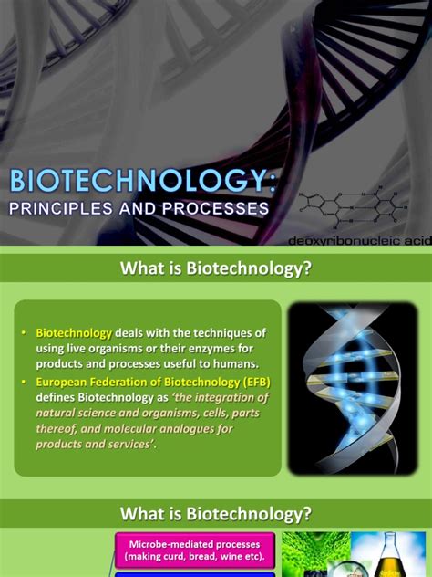 Image result for Biotechnology Process