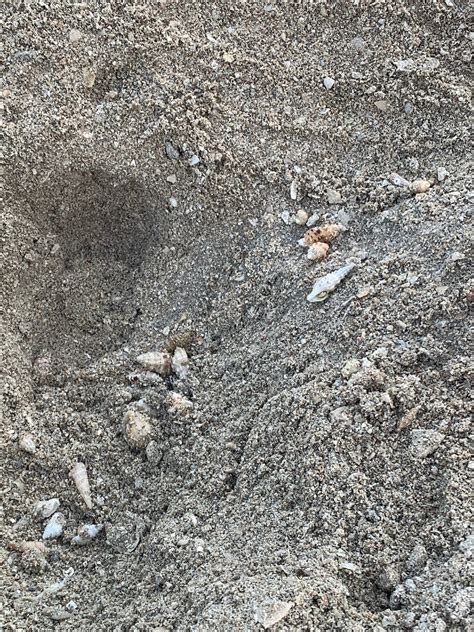 HOTEL RIU DUBAI - Hotel Reviews, Photos, Rate Comparison - Tripadvisor