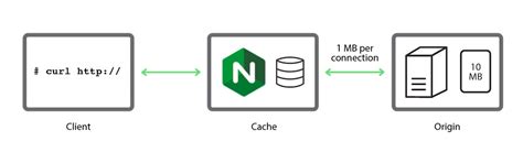 Image result for Nginx Caching