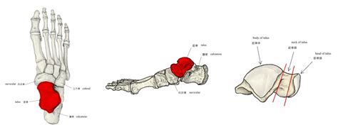 Image result for Scan List for Items Python
