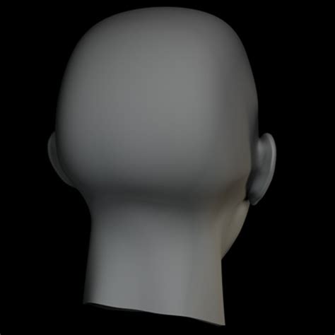 Maya Human Head 的图像结果