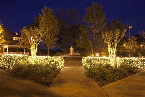 Image result for Programmable Net Lights