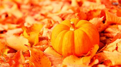 🔥 [60+] Fall Pumpkin Wallpapers | WallpaperSafari