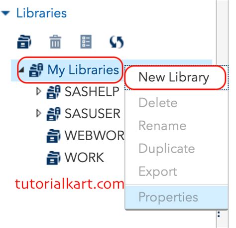 Creating a Library SAS 的图像结果