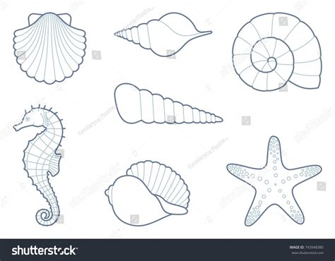 Image result for Shell Shape Outline