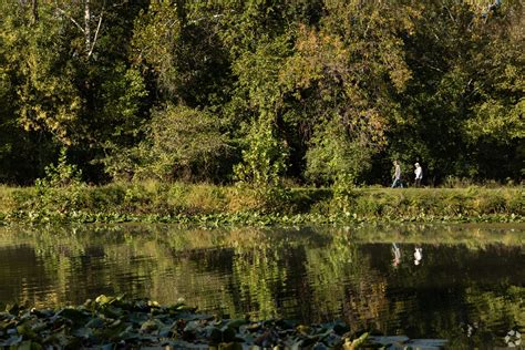 Parkway North High School in Saint Louis, MO - Homes.com