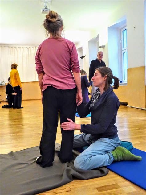 Somatic Training 的图像结果