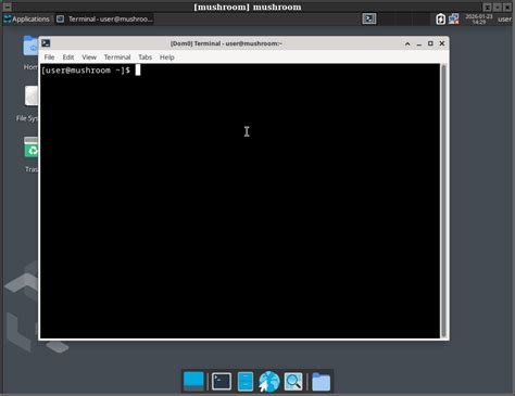 Using Qubes in windowed (non-seamless) mode (gui integration) - General ...
