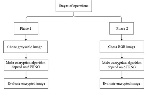Project Operation and Testing Procedure 的图像结果