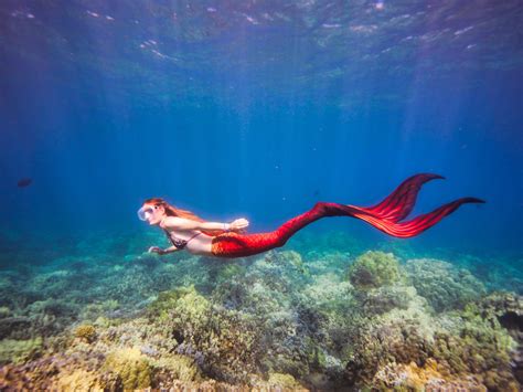 Mermaid Swimming Costume for Kids 的图像结果