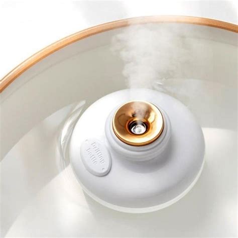 Image result for Mini Plant Humidifiers