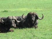 Chernobyl and Pripyat, Ukraine - places to see in Chernobyl and Pripyat ...