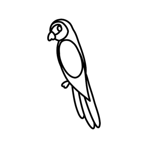 Doodle papegaai hand getekend geïsoleerd op een witte achtergrond ...