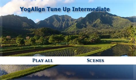Image result for Encoding Authoring Menu Design