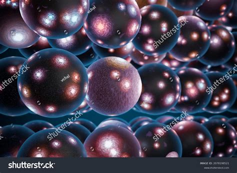 Image result for Multi Universe