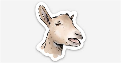 Winnie the Nigerian Dwarf Magnet, 10 pack by Sage and Stone Homestead ...